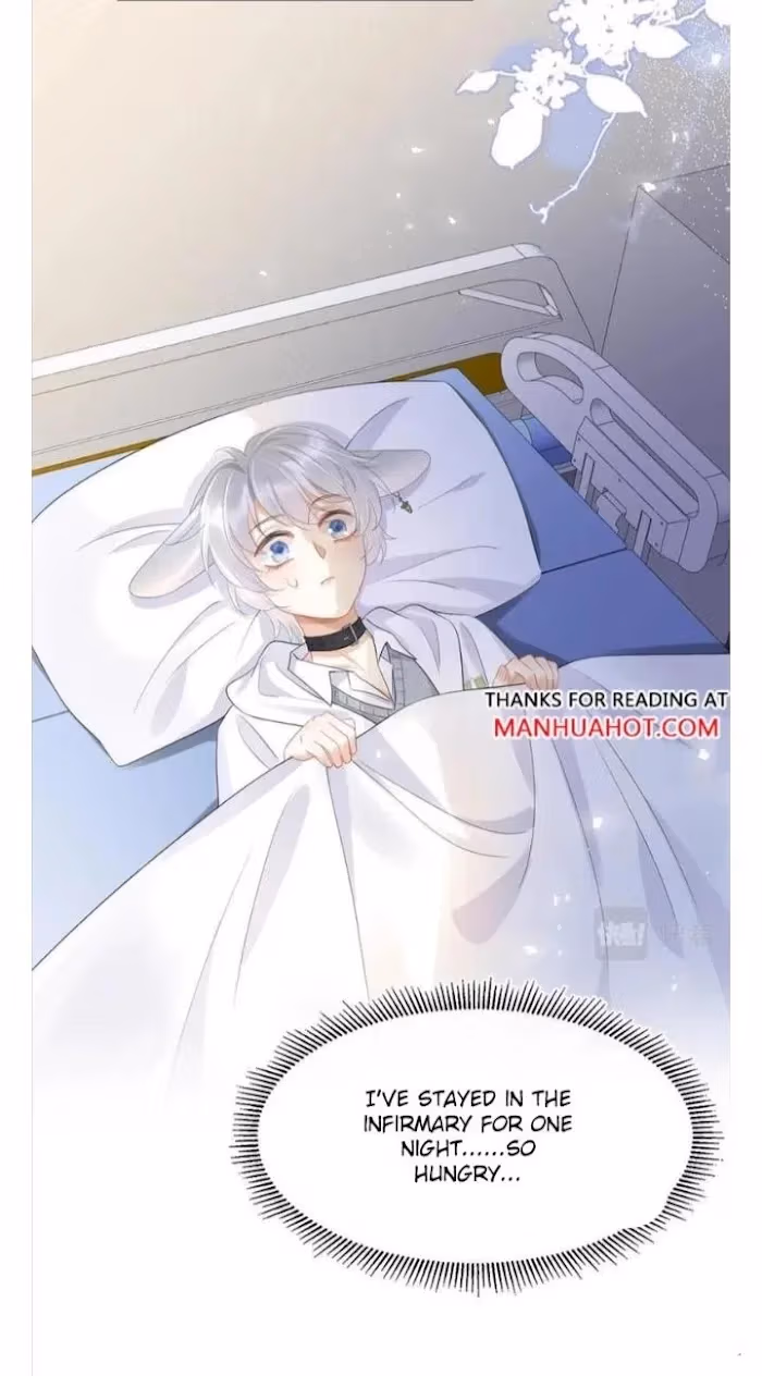 Read Rabbit and Lion chapter 5 image 36 on Lezhin