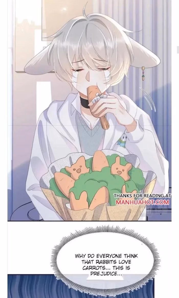 Read Rabbit and Lion chapter 6 image 11 on Lezhin