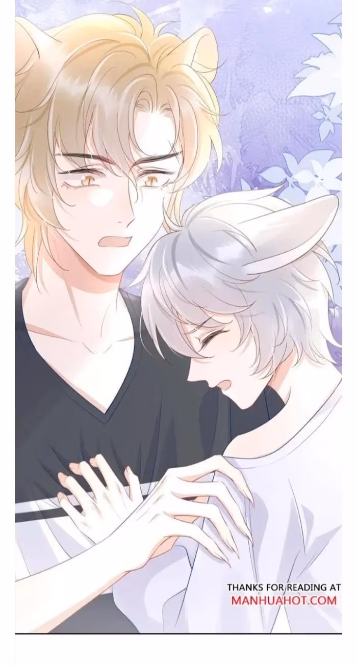 Read Rabbit and Lion chapter 8 image 47 on Lezhin