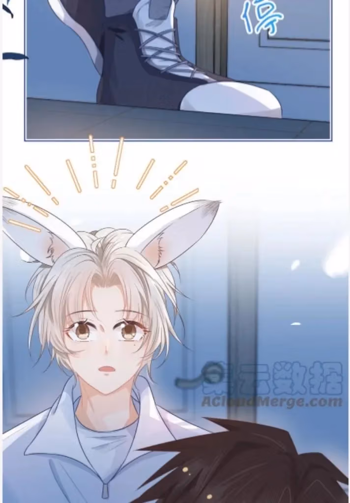 Read Rabbit and Lion chapter 94 image 20 on Lezhin