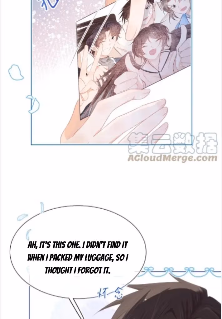 Read Rabbit and Lion chapter 94 image 41 on Lezhin
