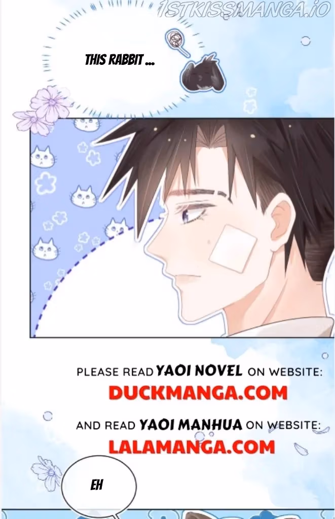 Read Rabbit and Lion chapter 97 image 40 on Lezhin