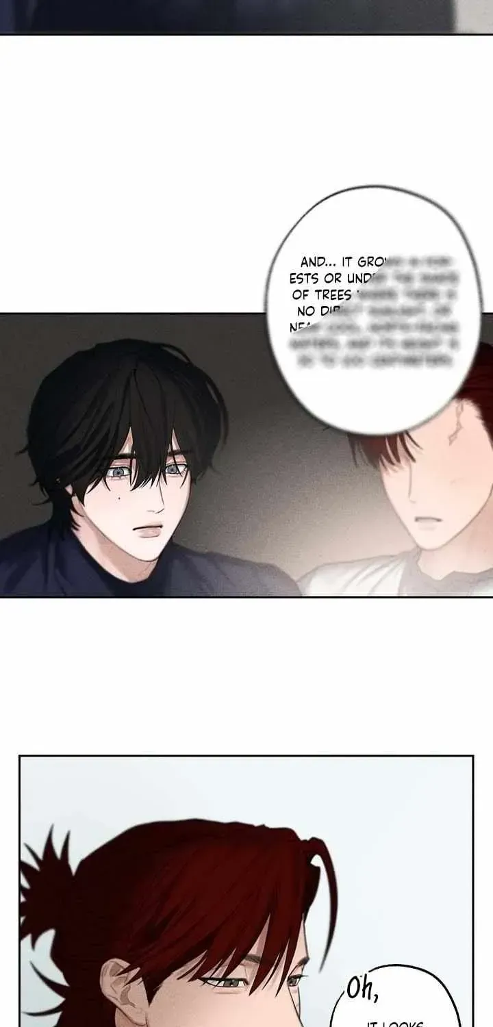 Read Rack chapter 3.99 image 52 on Lezhin