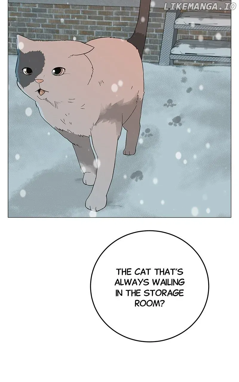 Read Radiant Rewind chapter 1.4 image 153 on Lezhin