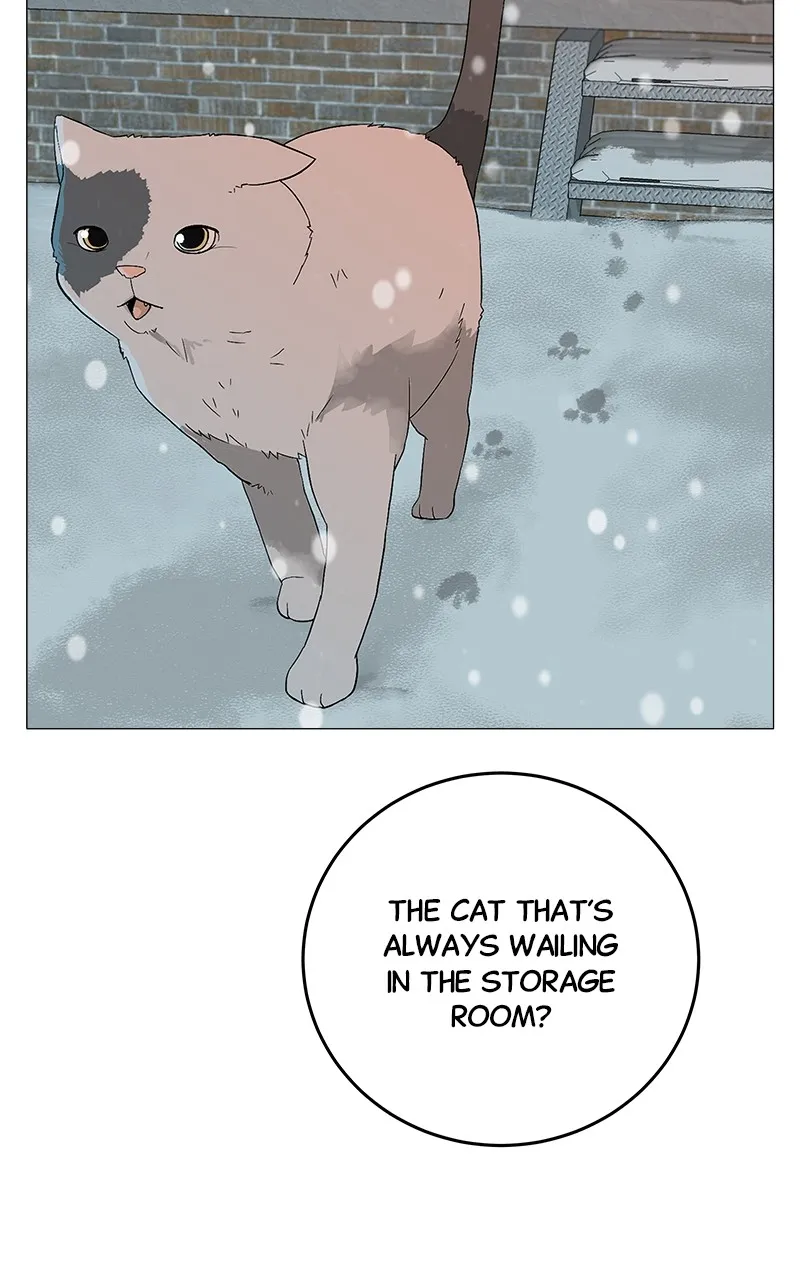 Read Radiant Rewind chapter 1 image 153 on Lezhin