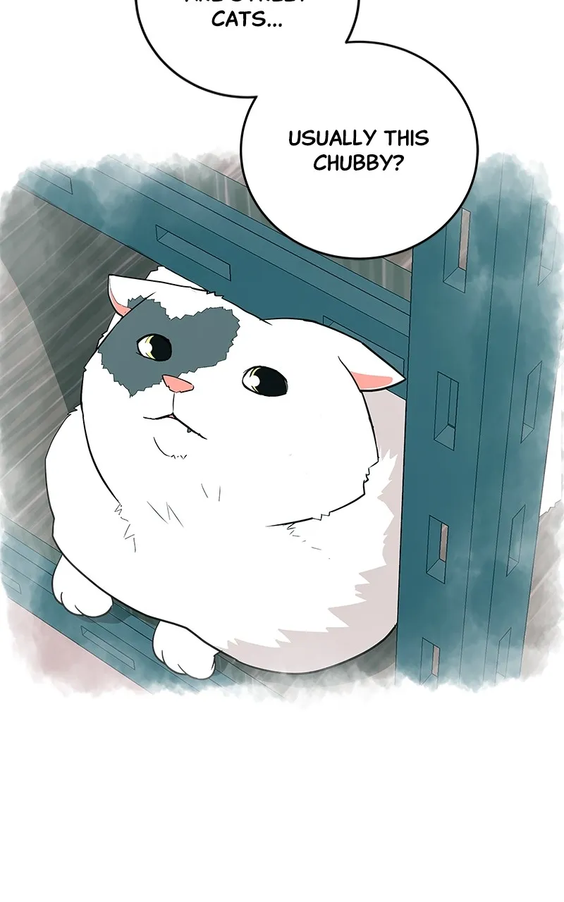 Read Radiant Rewind chapter 11 image 82 on Lezhin