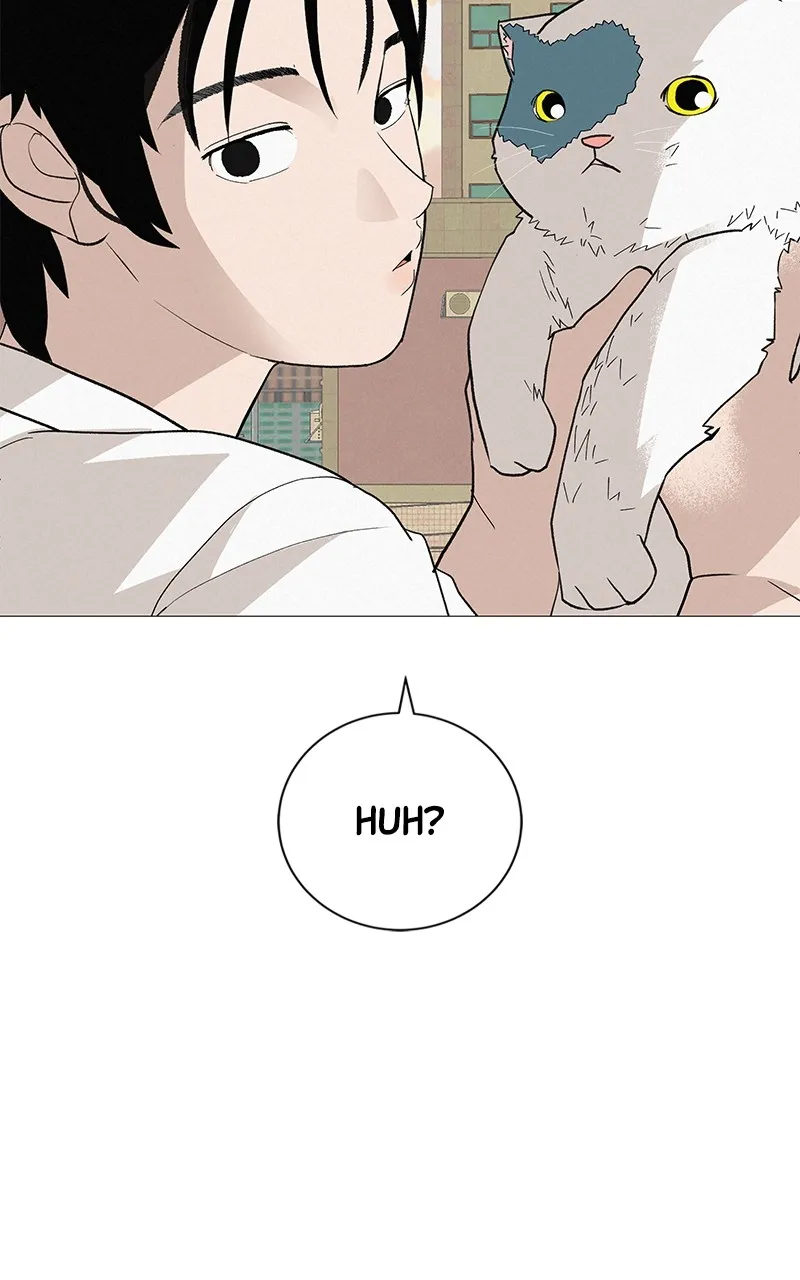 Read Radiant Rewind chapter 16 image 63 on Lezhin
