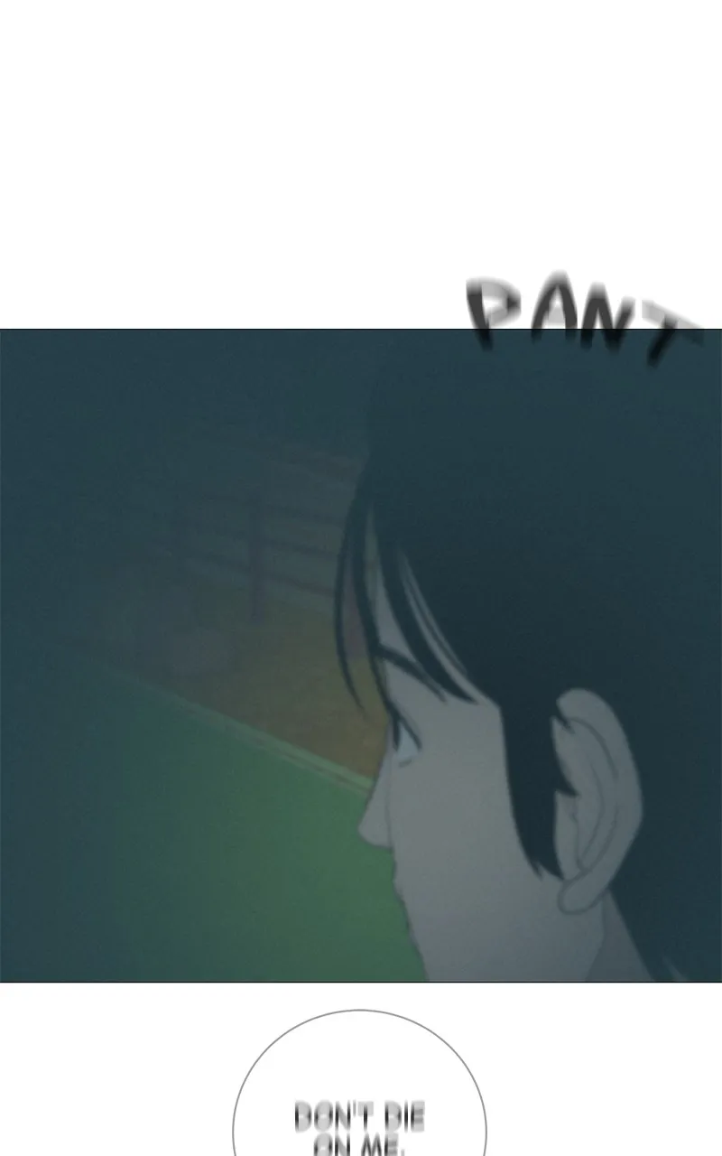 Read Radiant Rewind chapter 17 image 2 on Lezhin