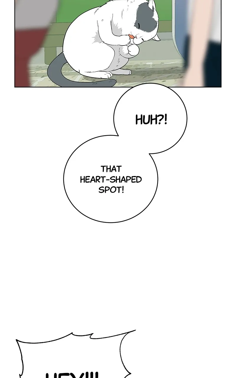 Read Radiant Rewind chapter 2 image 108 on Lezhin