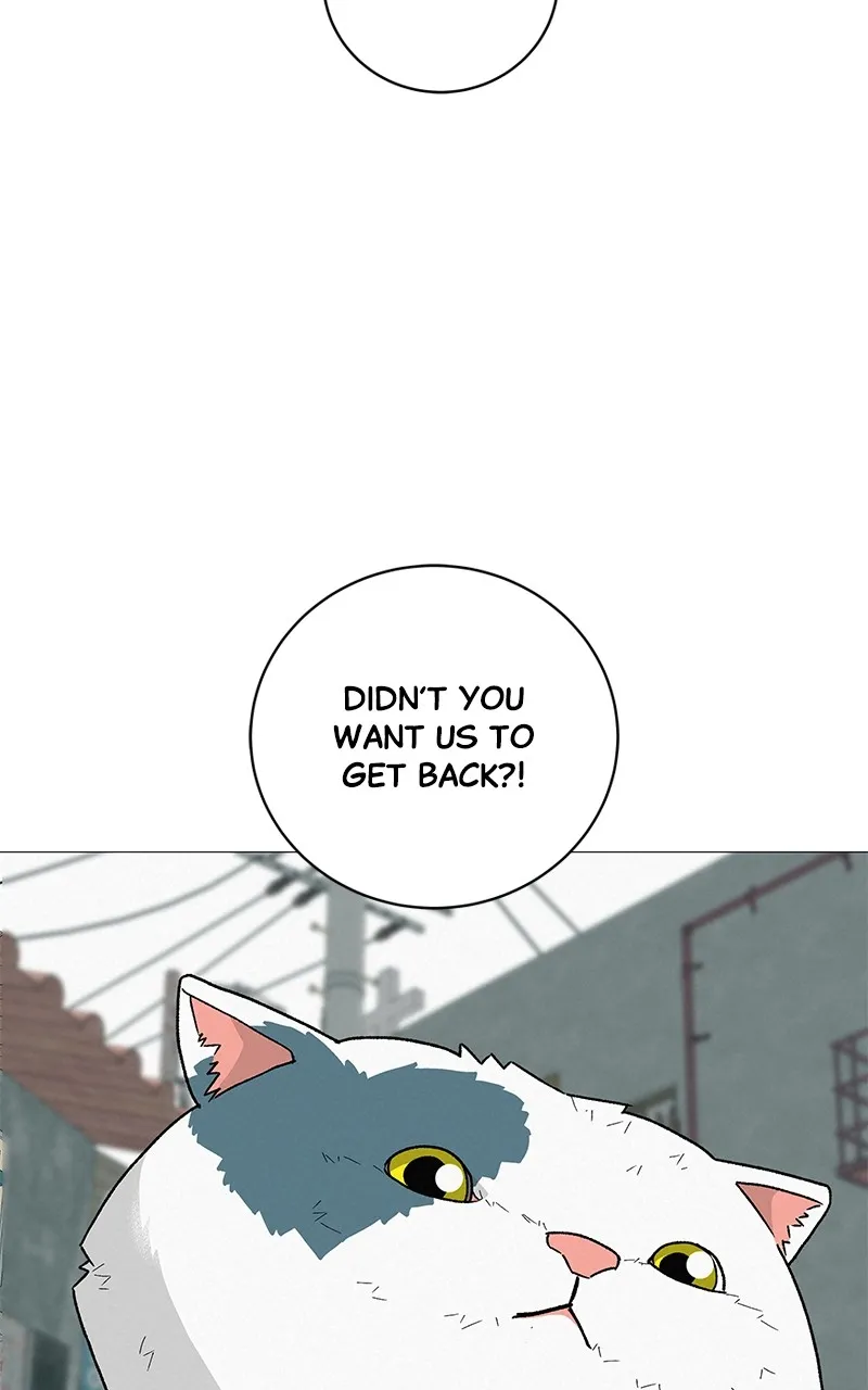 Read Radiant Rewind chapter 22 image 4 on Lezhin