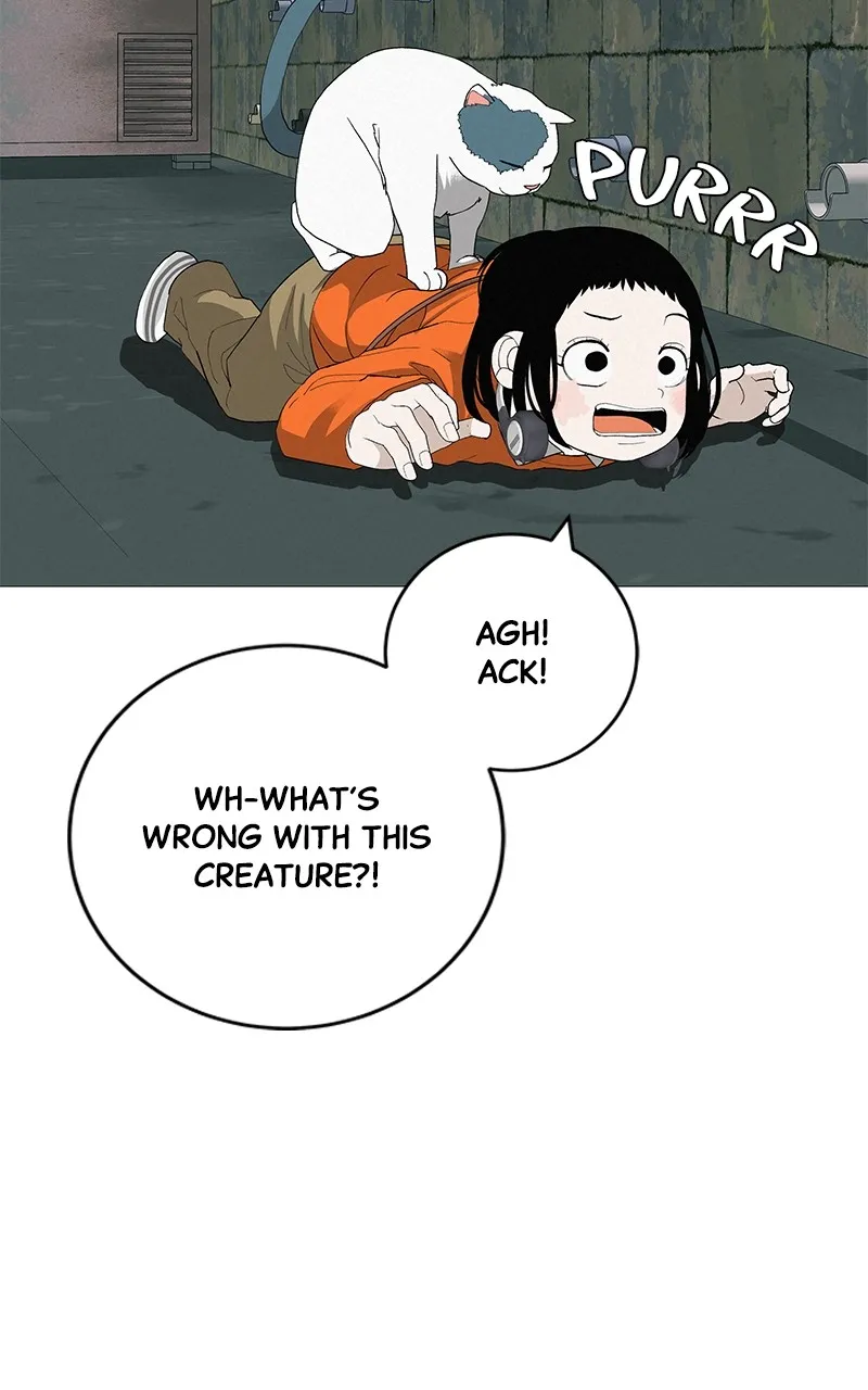 Read Radiant Rewind chapter 22 image 7 on Lezhin