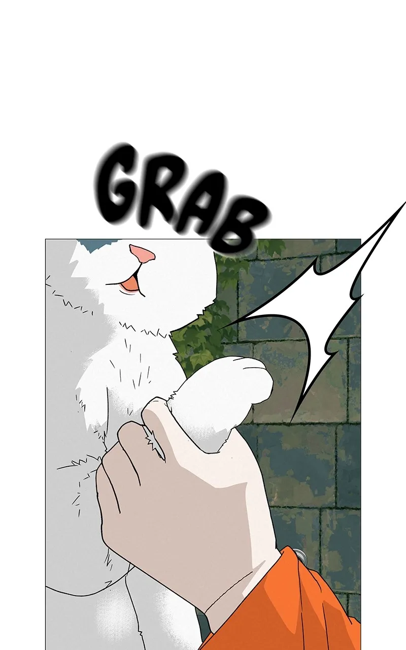Read Radiant Rewind chapter 22 image 9 on Lezhin