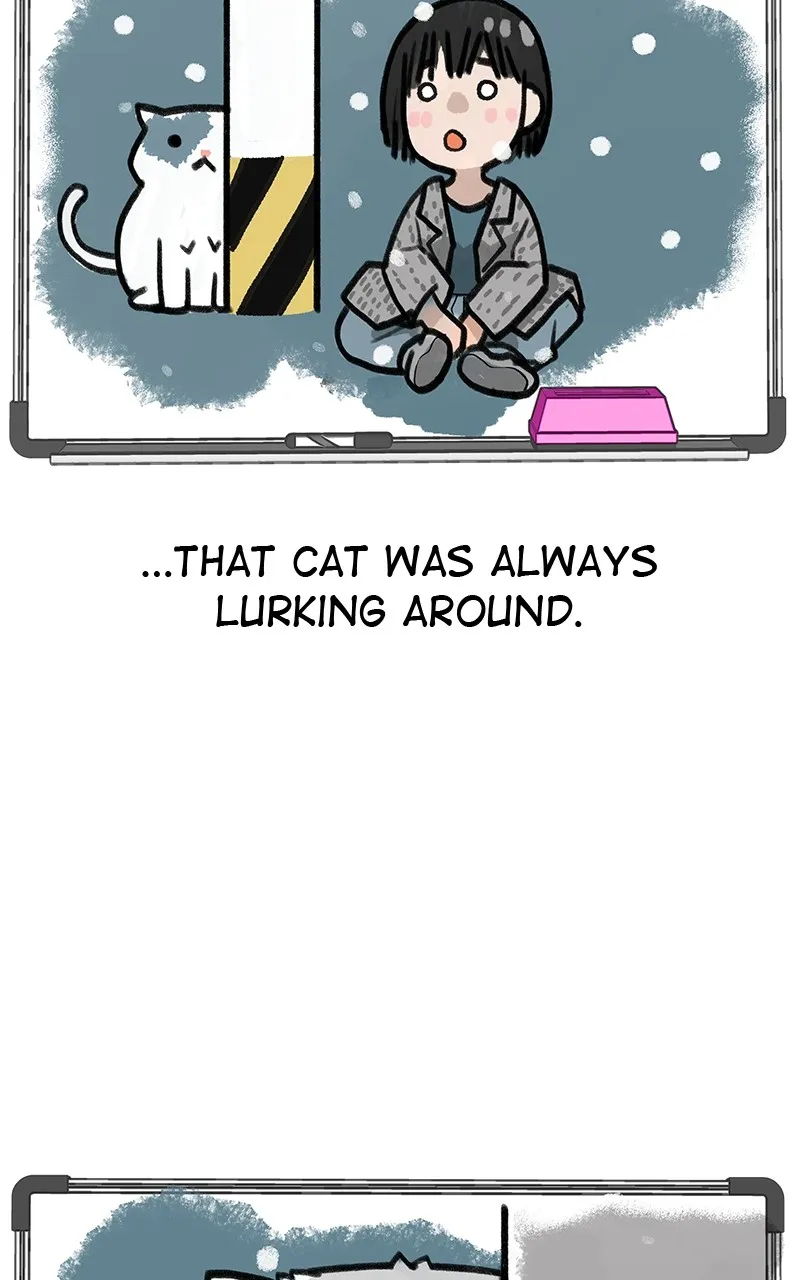 Read Radiant Rewind chapter 23 image 80 on Lezhin