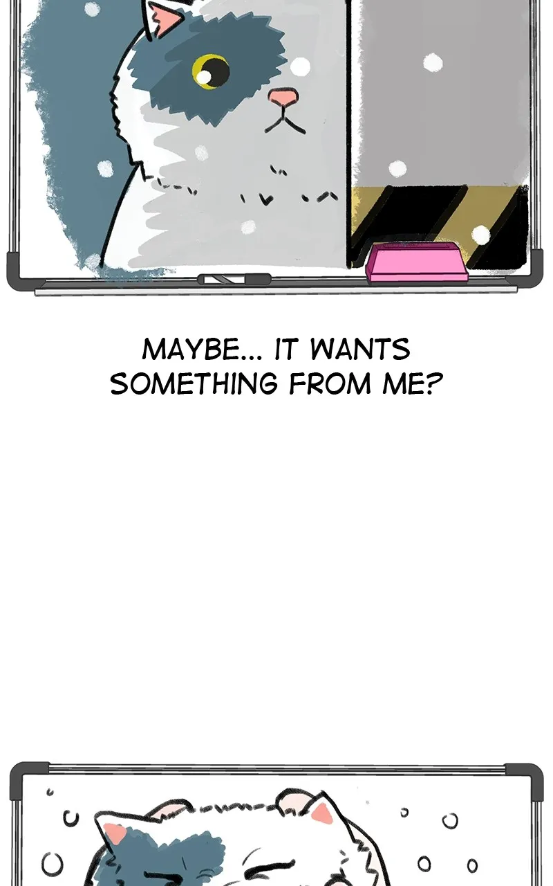 Read Radiant Rewind chapter 23 image 81 on Lezhin
