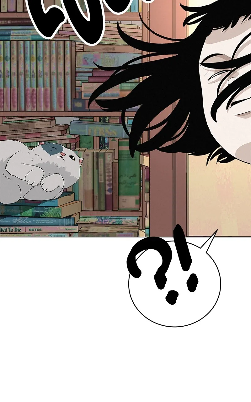 Read Radiant Rewind chapter 24 image 16 on Lezhin