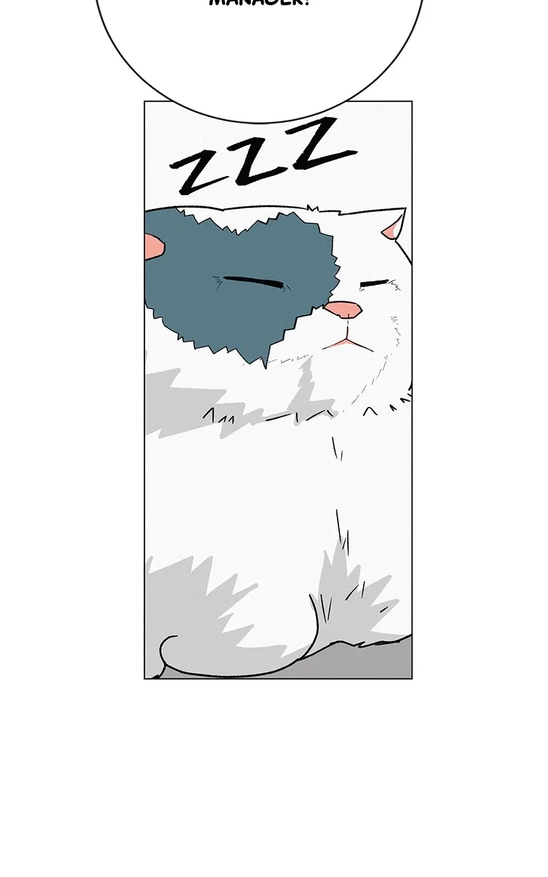 Read Radiant Rewind chapter 27 image 147 on Lezhin