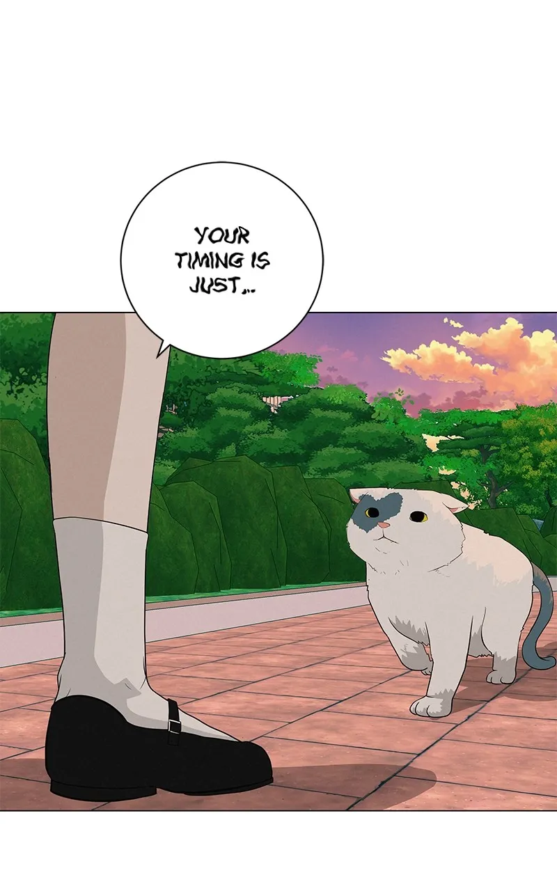 Read Radiant Rewind chapter 29 image 137 on Lezhin