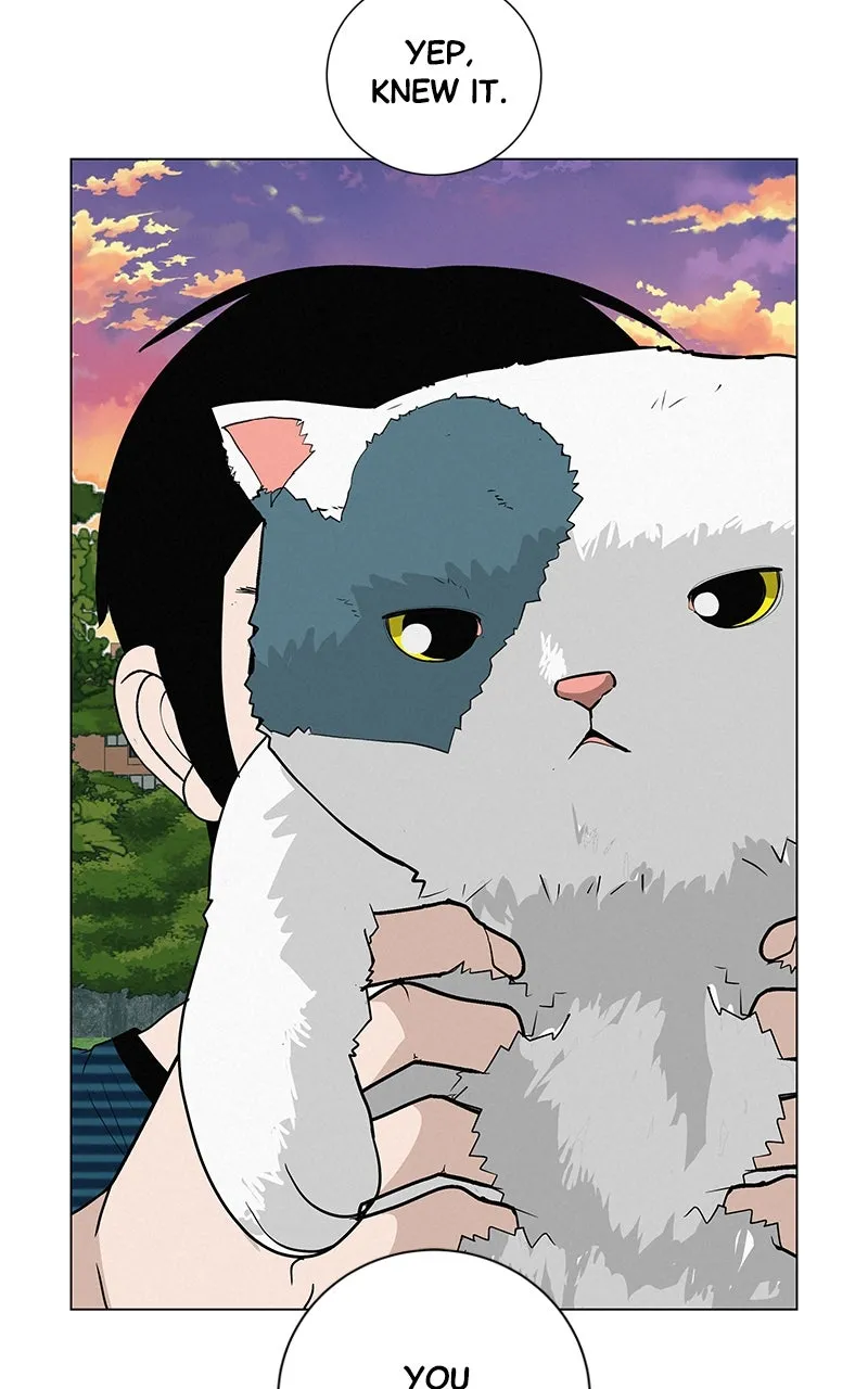 Read Radiant Rewind chapter 29 image 143 on Lezhin