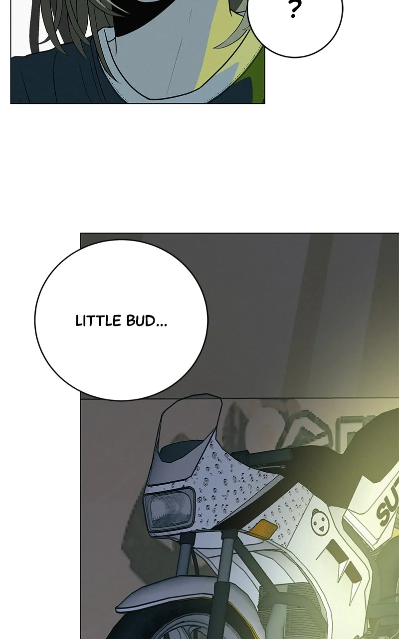 Read Radiant Rewind chapter 35 image 13 on Lezhin