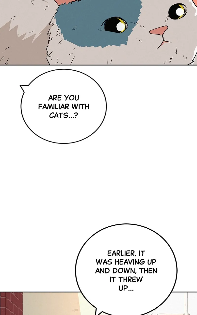 Read Radiant Rewind chapter 37 image 91 on Lezhin