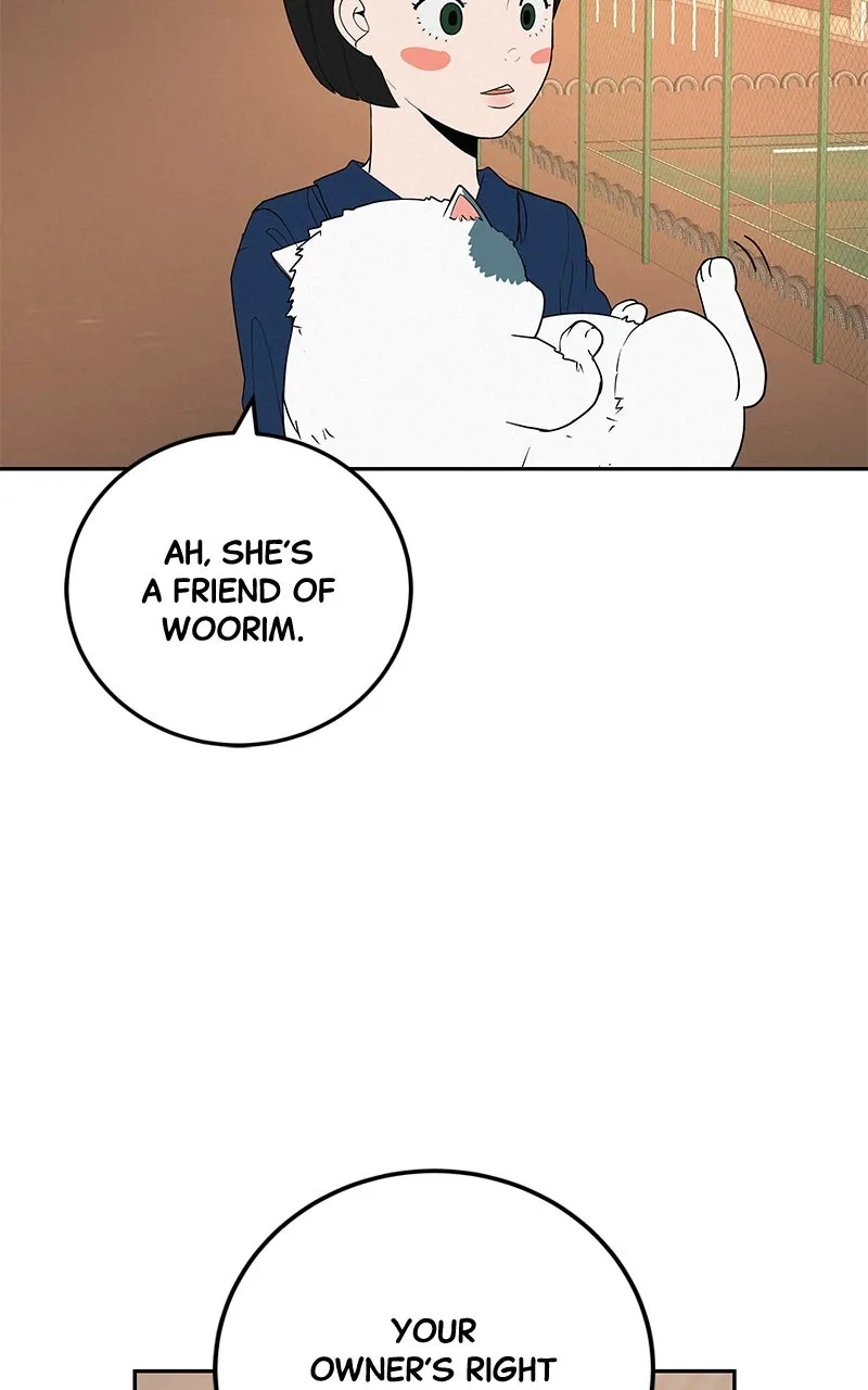 Read Radiant Rewind chapter 42 image 73 on Lezhin
