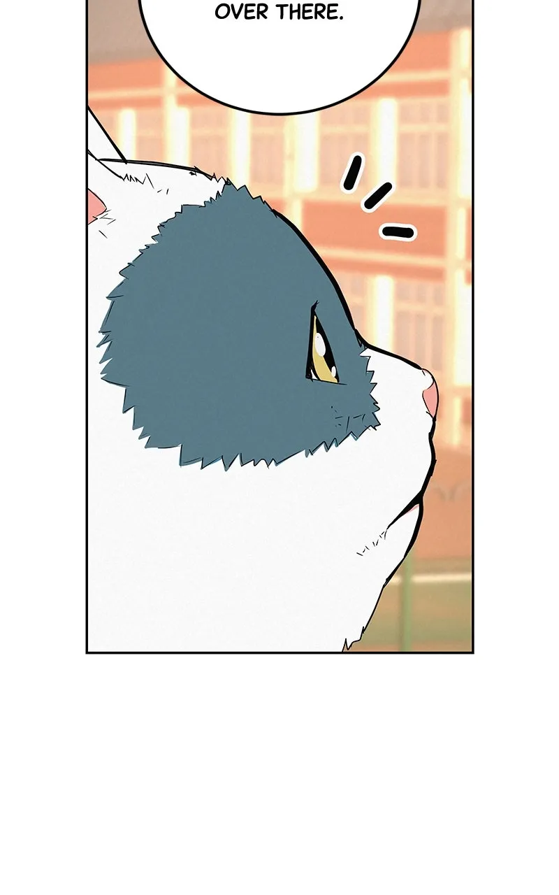 Read Radiant Rewind chapter 42 image 74 on Lezhin