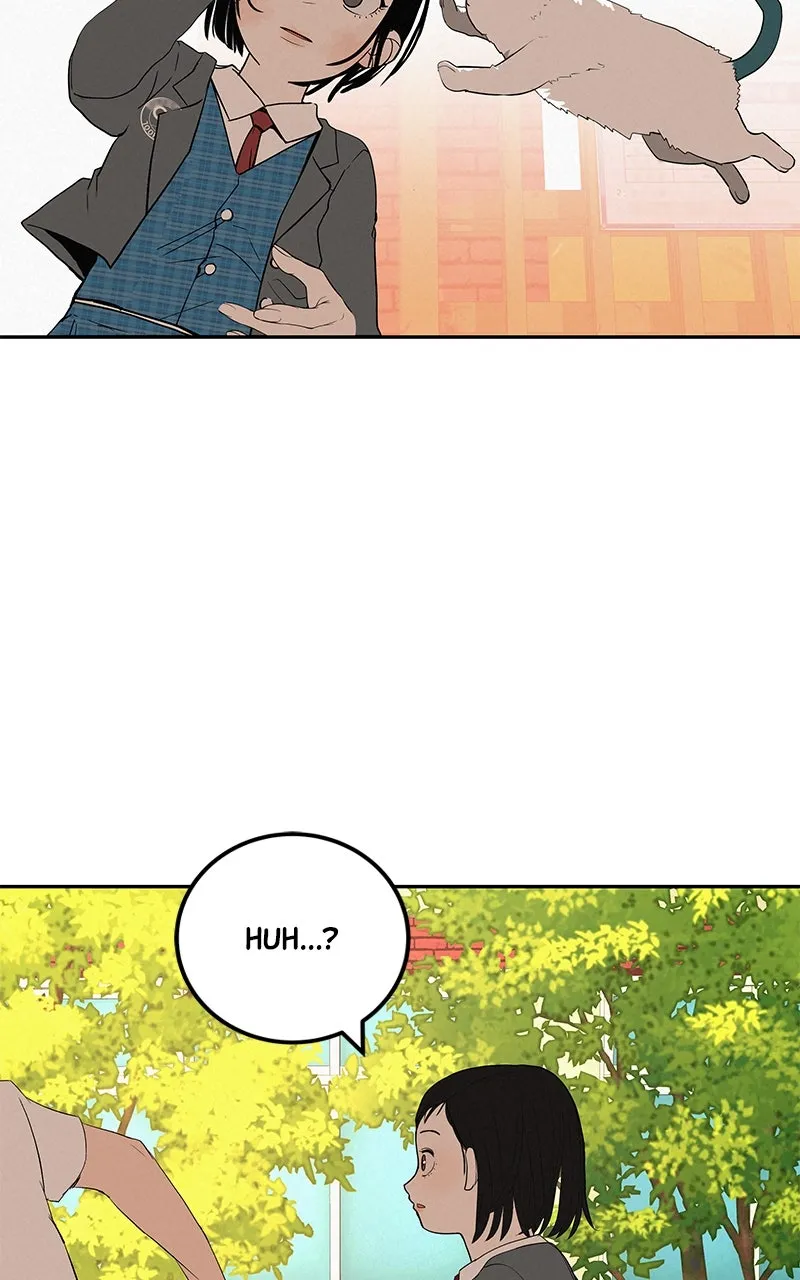 Read Radiant Rewind chapter 43 image 17 on Lezhin