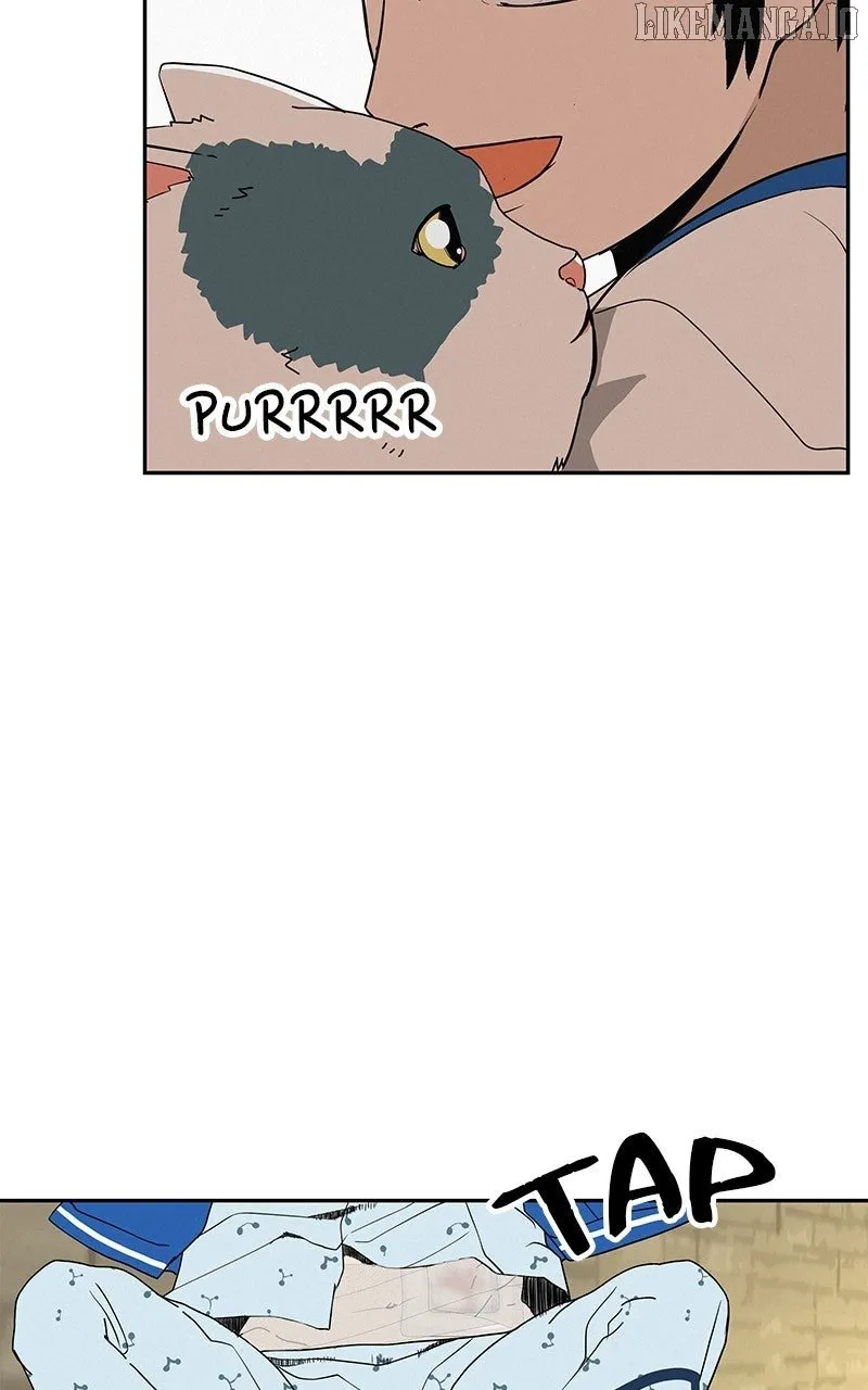 Read Radiant Rewind chapter 46 image 10 on Lezhin