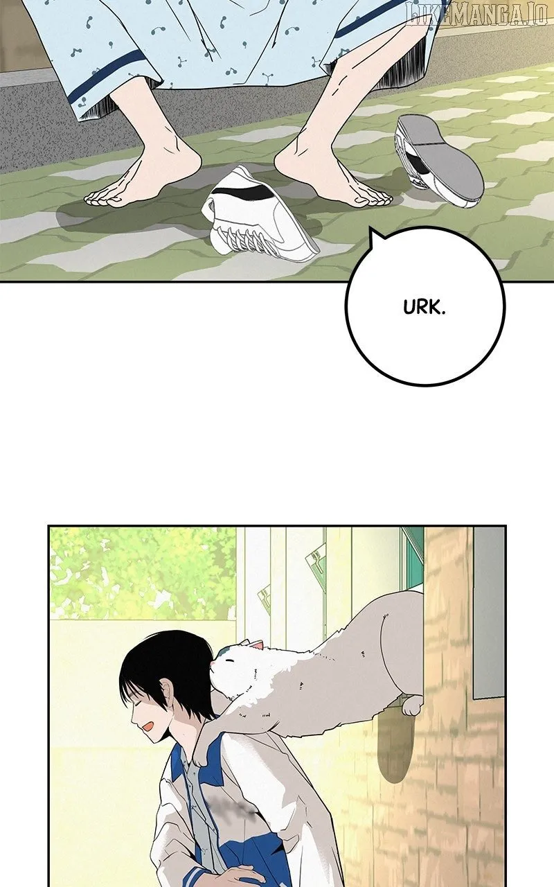 Read Radiant Rewind chapter 46 image 11 on Lezhin