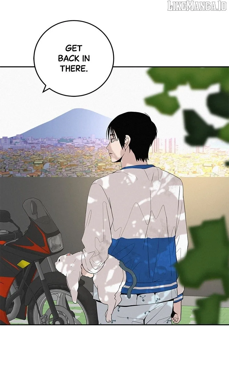 Read Radiant Rewind chapter 46 image 16 on Lezhin