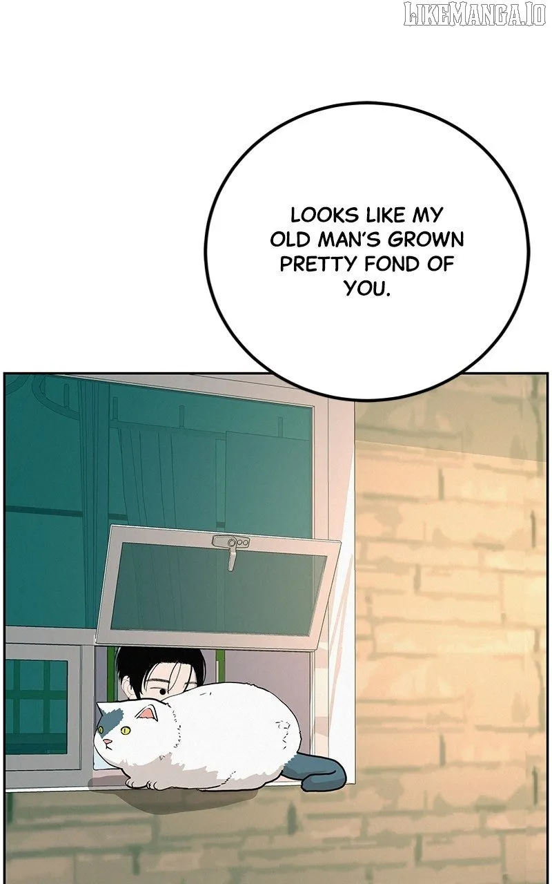 Read Radiant Rewind chapter 46 image 3 on Lezhin