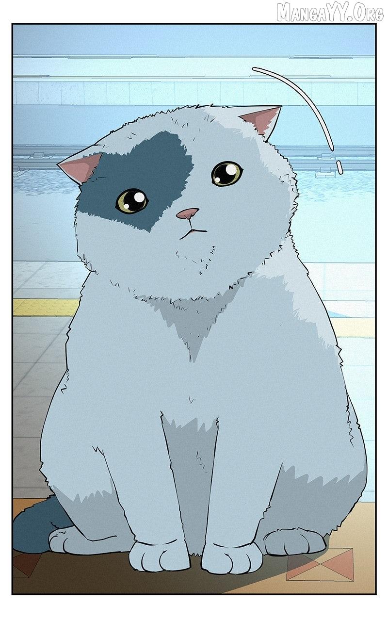 Read Radiant Rewind chapter 54 image 173 on Lezhin