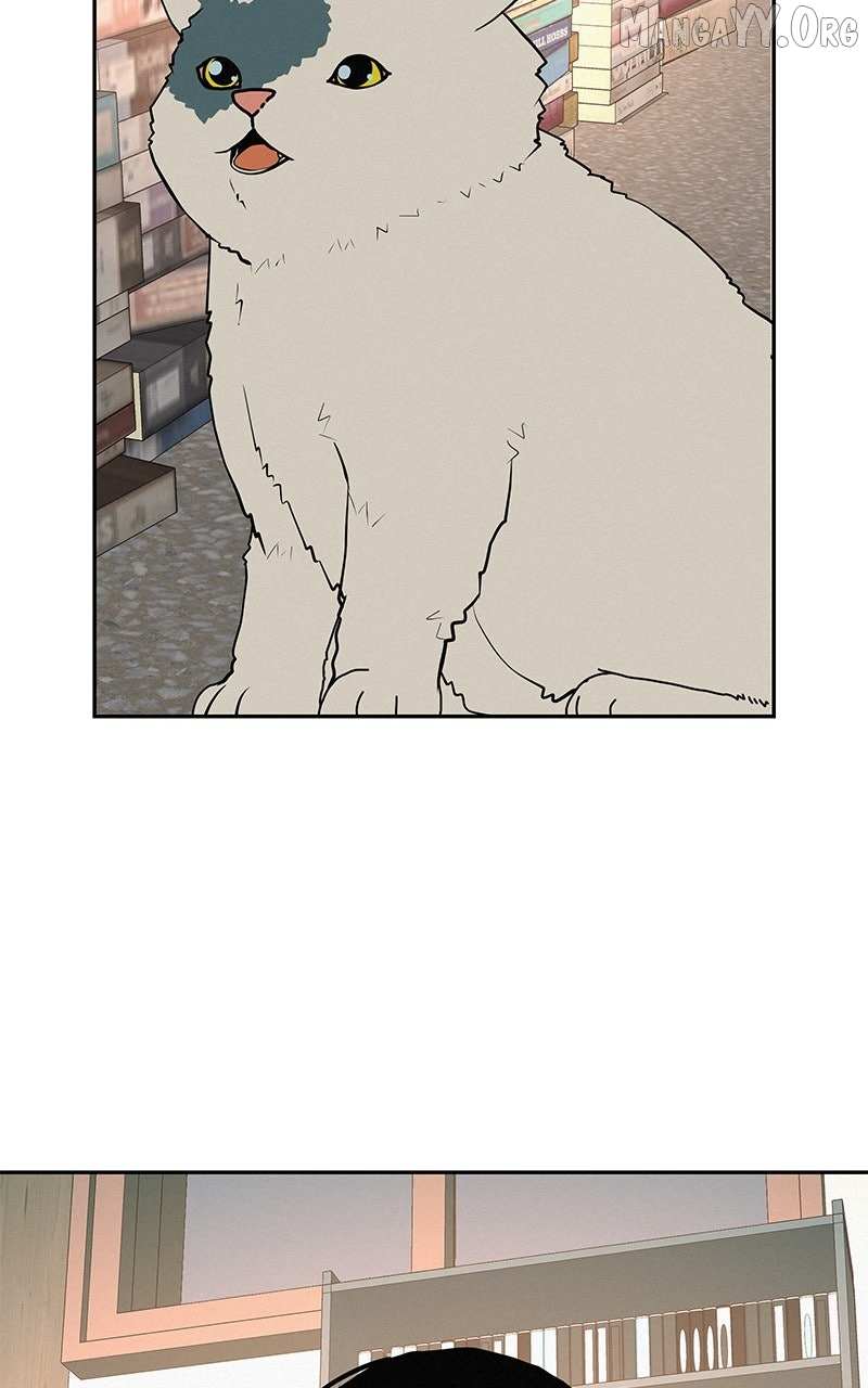 Read Radiant Rewind chapter 55 image 30 on Lezhin