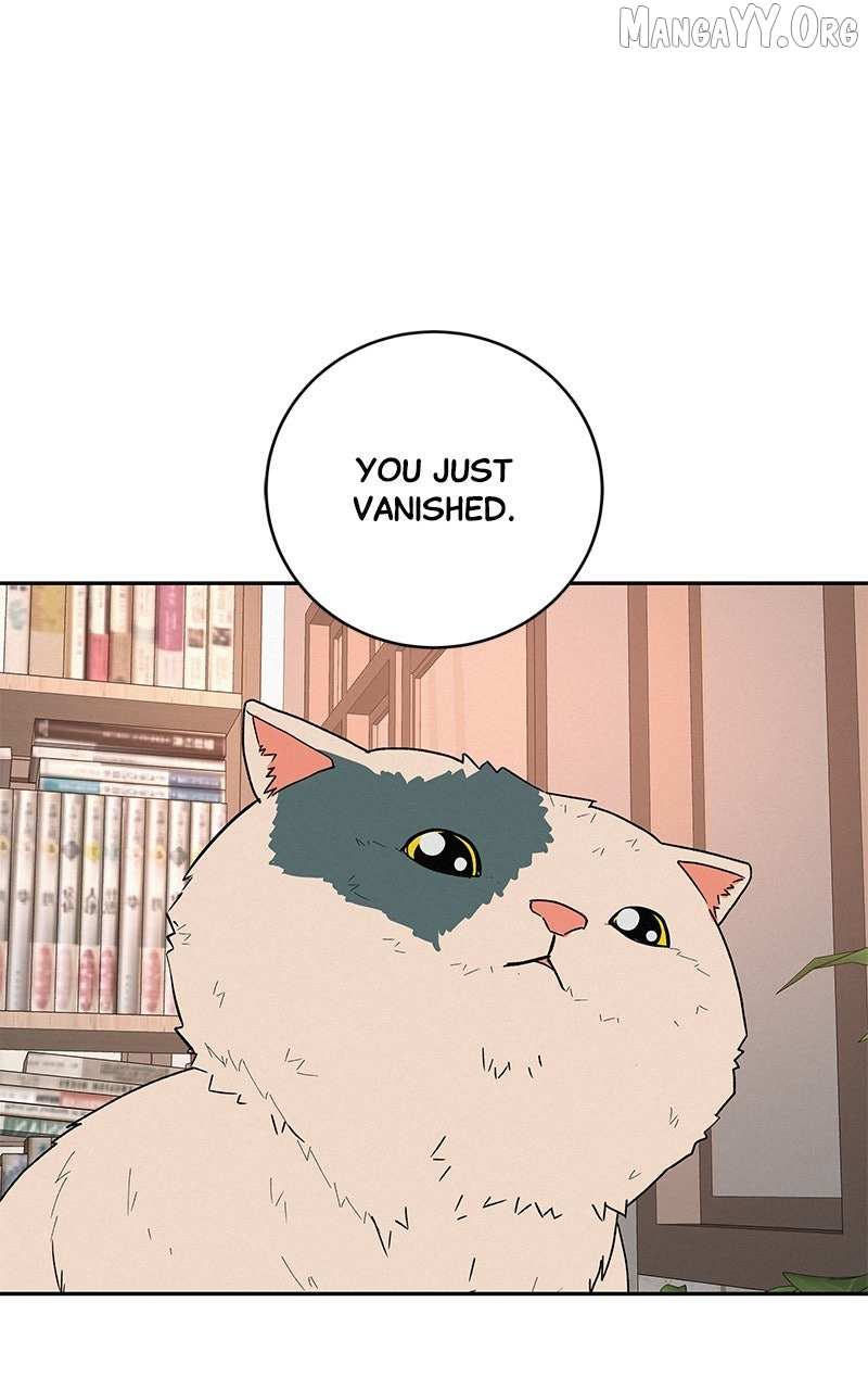 Read Radiant Rewind chapter 55 image 75 on Lezhin