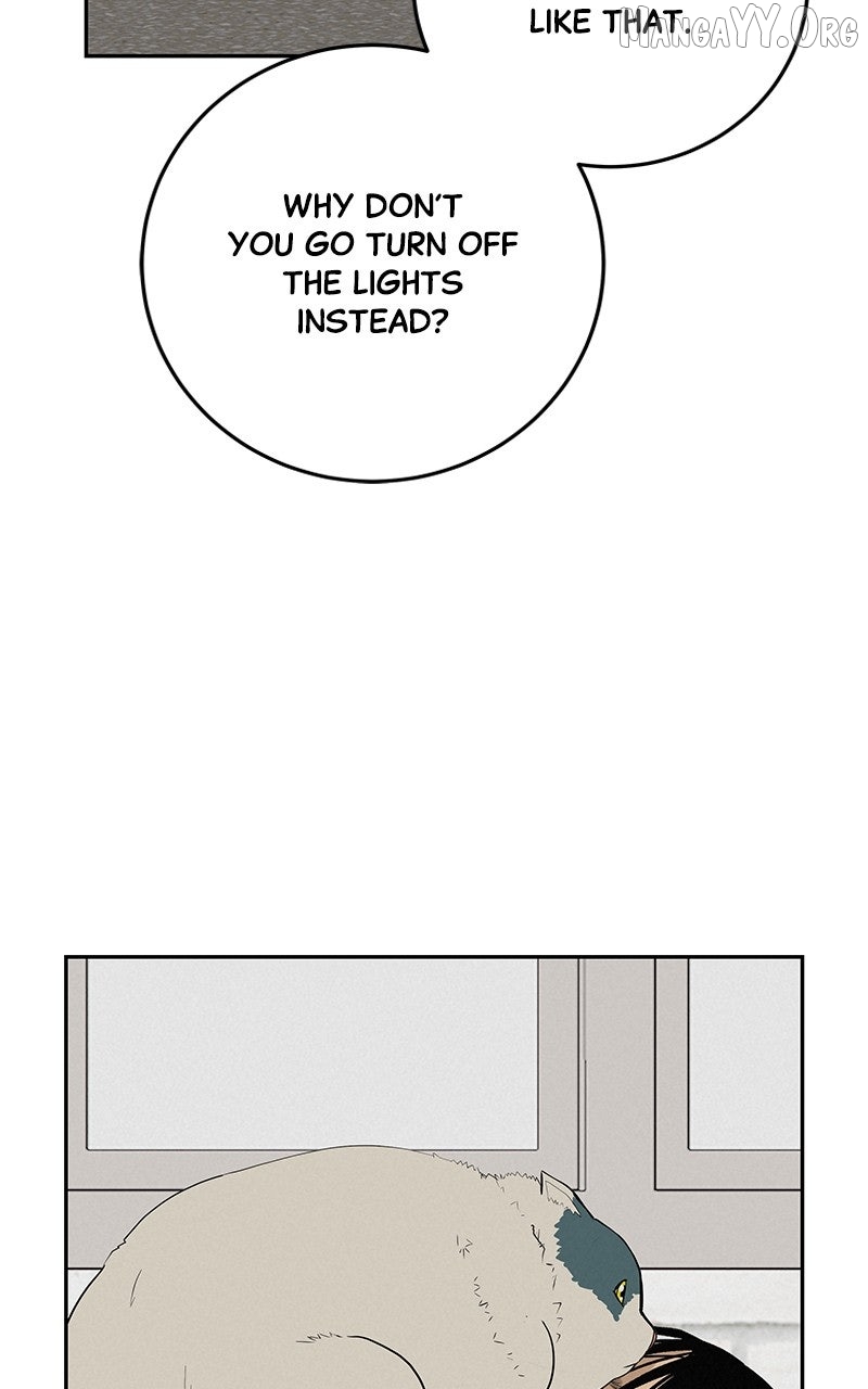 Read Radiant Rewind chapter 55 image 84 on Lezhin