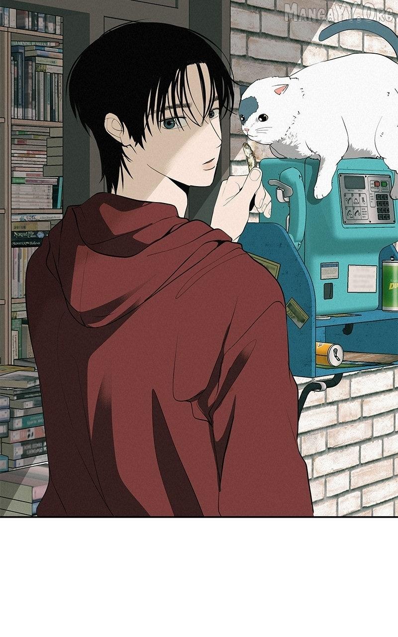 Read Radiant Rewind chapter 63 image 19 on Lezhin