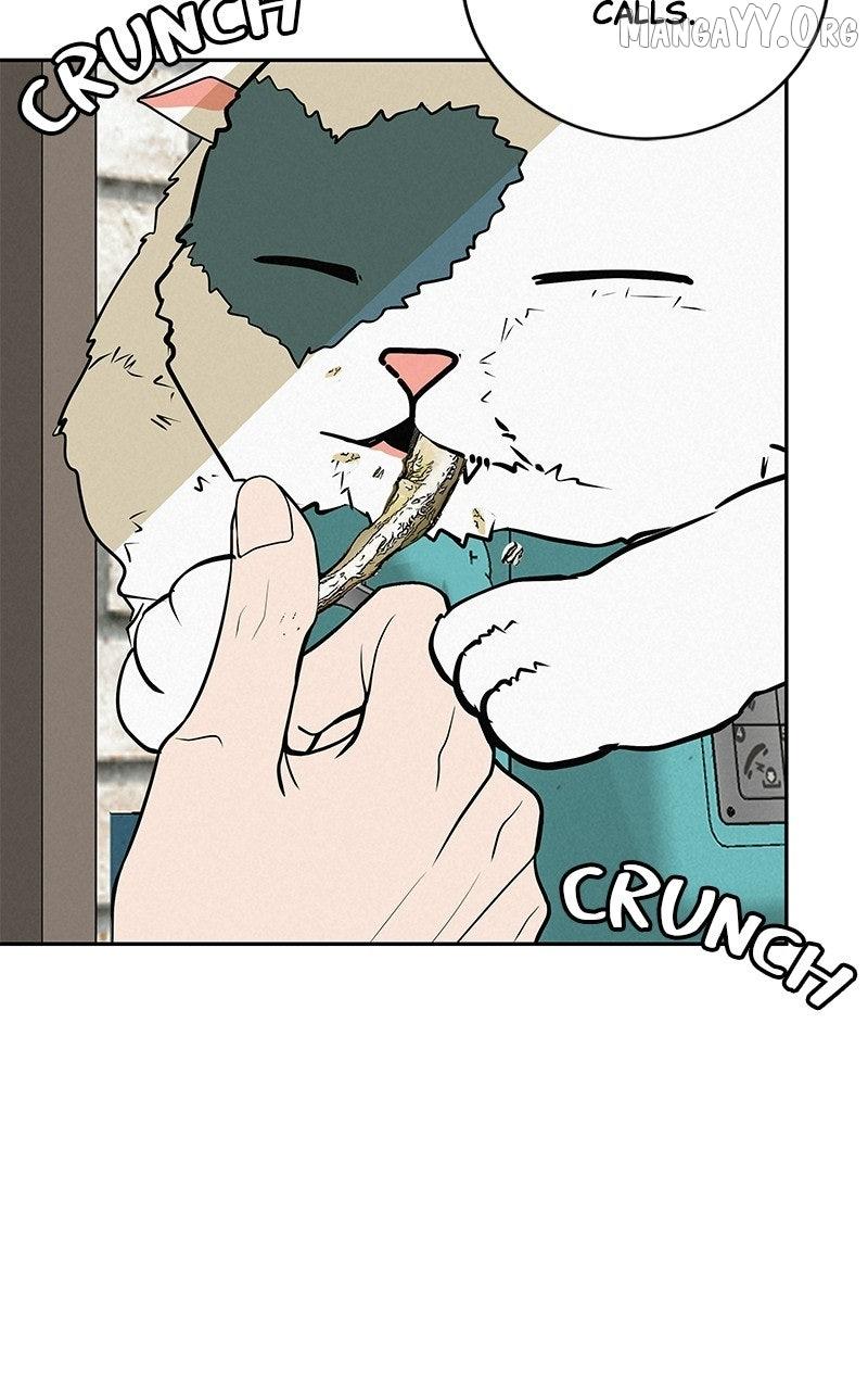 Read Radiant Rewind chapter 63 image 24 on Lezhin