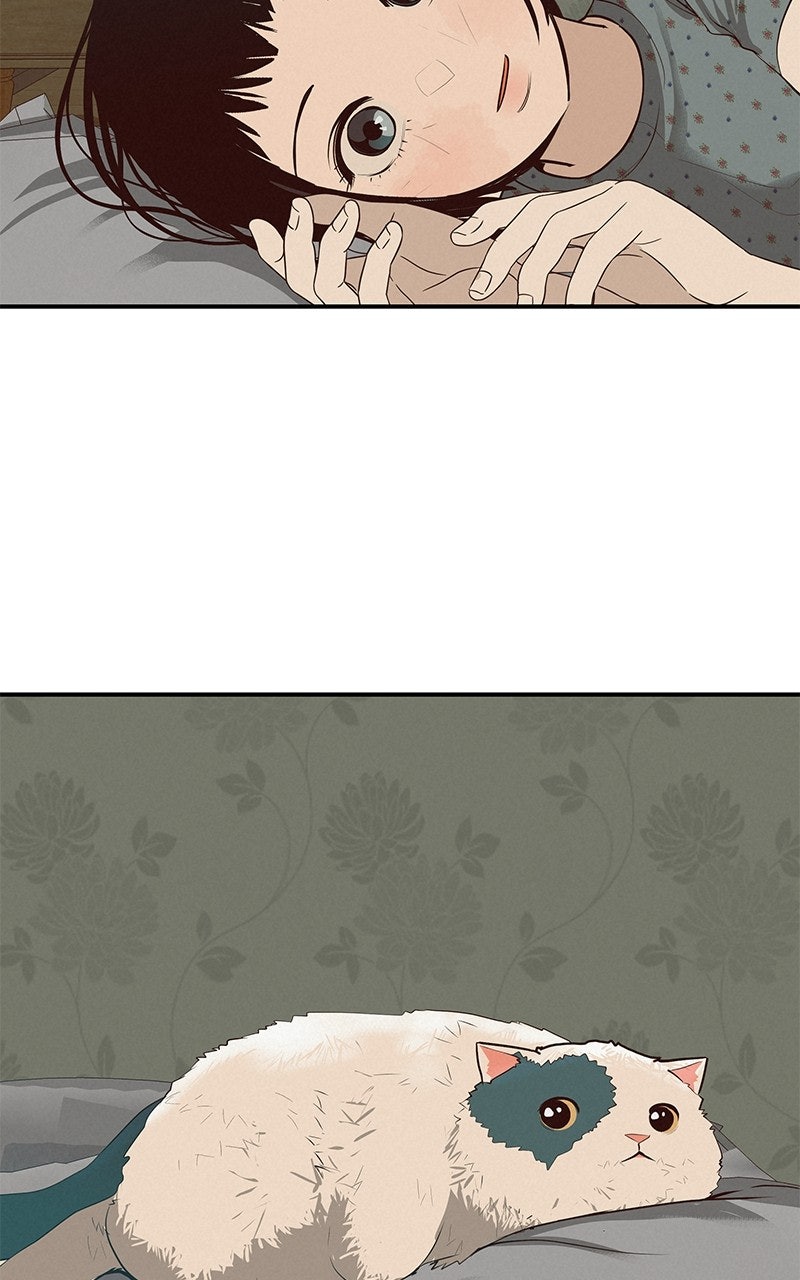Read Radiant Rewind chapter 72 image 2 on Lezhin