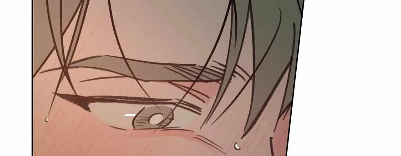 Rainbow Donut Chapter 32 page 15 - 