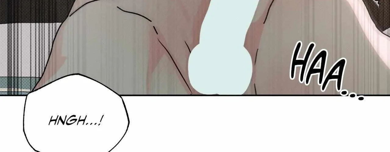 Rainbow Donut Chapter 34 page 16 - 