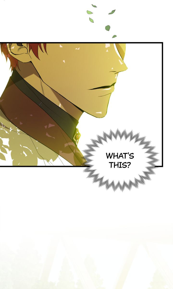 Read Raising a Sacrifice chapter 14 image 16 on Lezhin