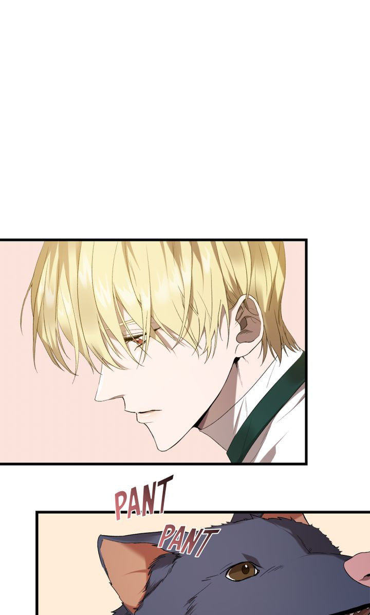 Read Raising a Sacrifice chapter 15 image 13 on Lezhin