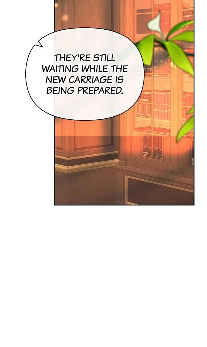 Raising My Husband Chapter 64 page 11 - 