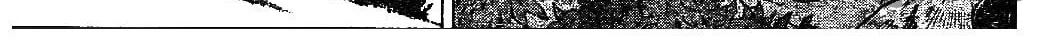 Read Ral Ω Grad chapter 22 image 22 on Lezhin