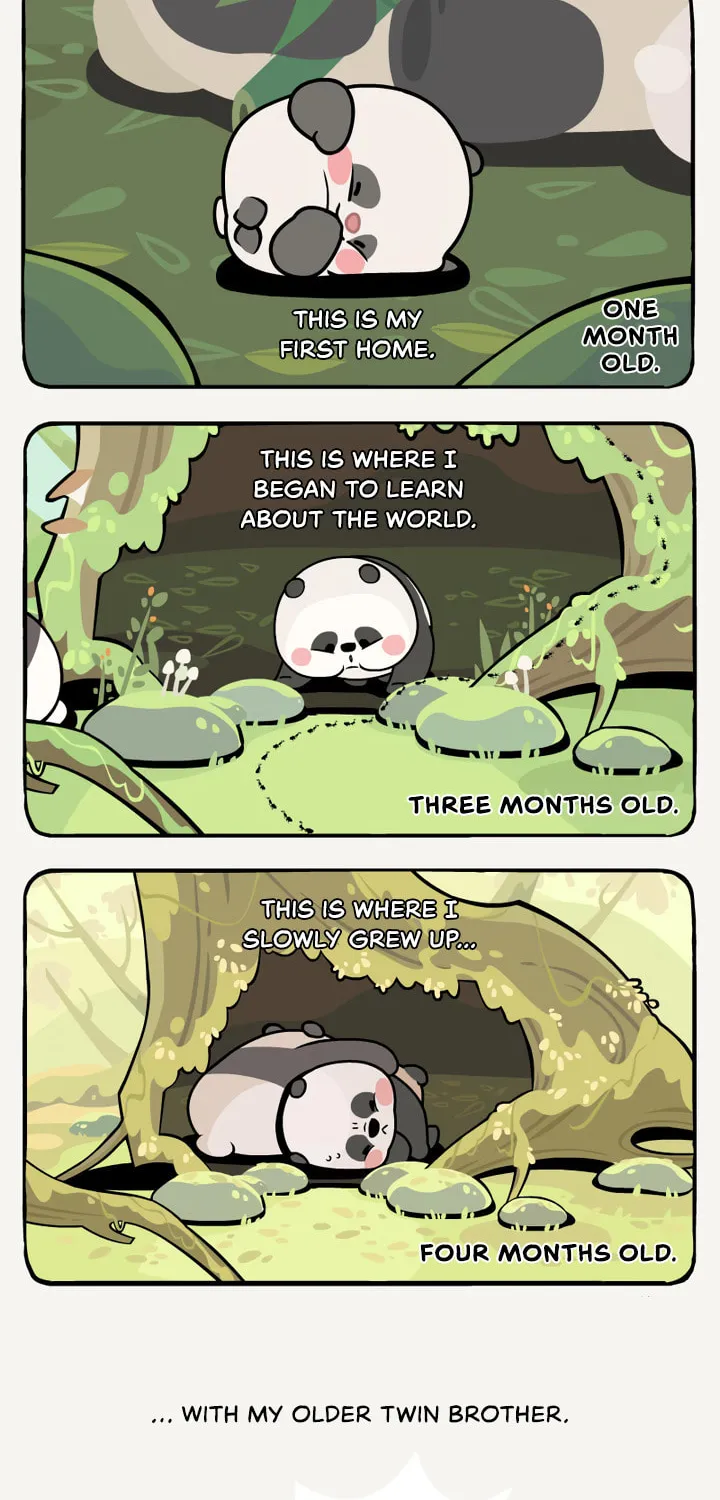 Read Ramboo and Panboo (Colored) chapter 11 image 2 on Lezhin