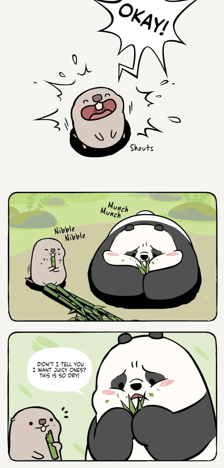 Read Ramboo and Panboo (Colored) chapter 12 image 3 on Lezhin