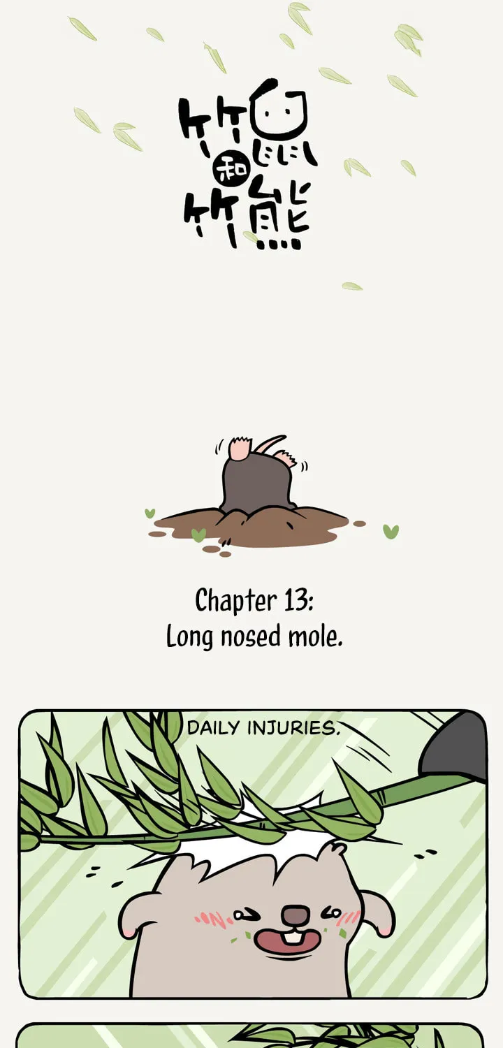 Read Ramboo and Panboo (Colored) chapter 13 image 1 on Lezhin