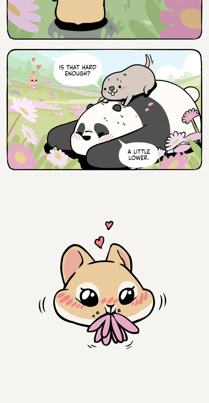 Read Ramboo and Panboo (Colored) chapter 14 image 6 on Lezhin