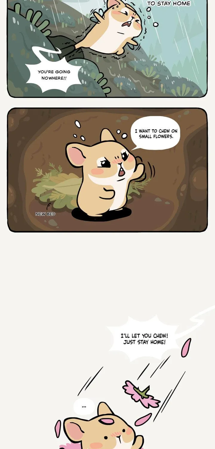Ramboo and Panboo (Colored) Chapter 21 page 4 - 