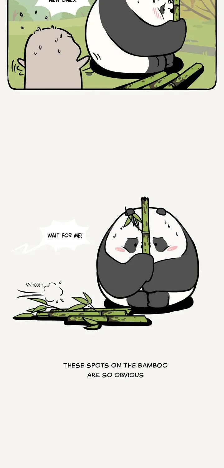 Ramboo and Panboo (Colored) Chapter 22 page 4 - 